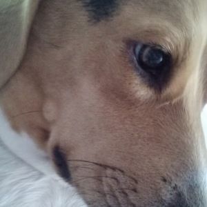 Meet your Posher, Ethan